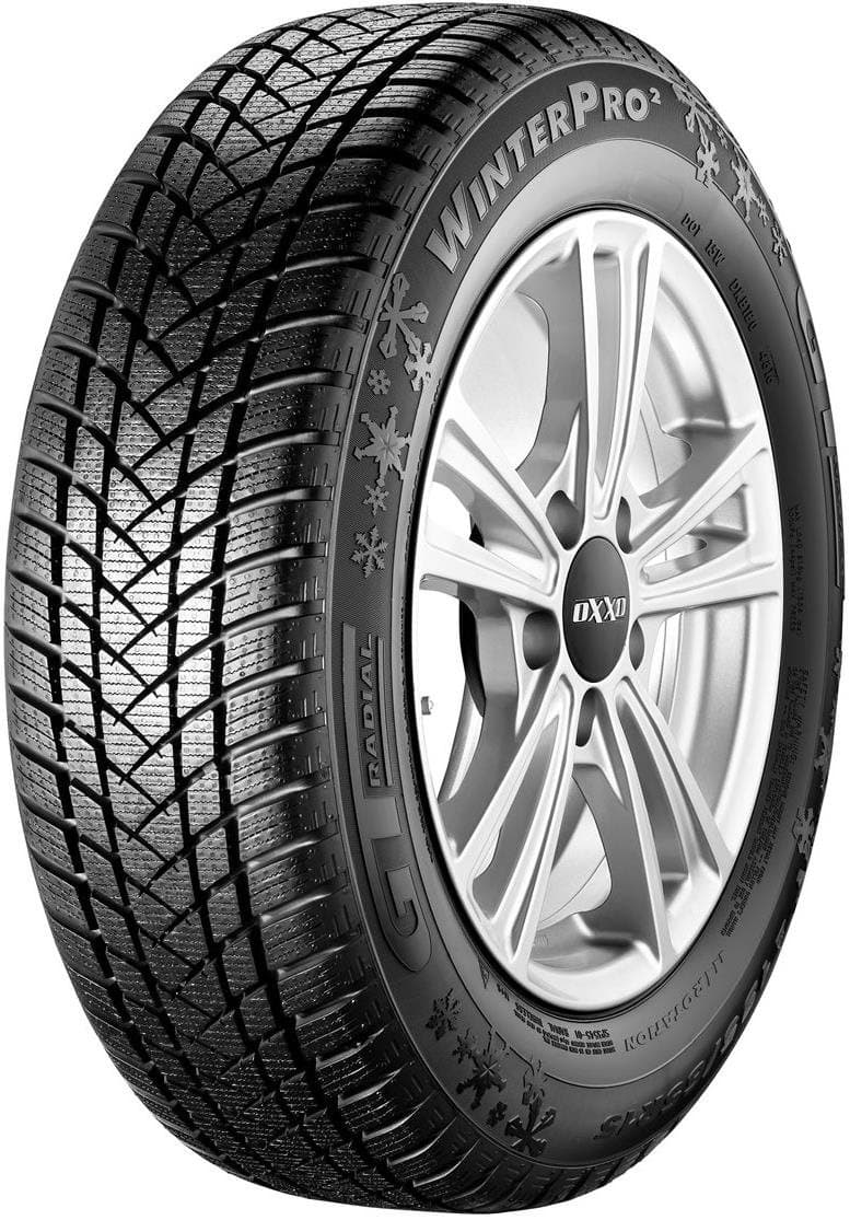 165/70 R 13 79T WINTER_PRO_2 TL 3PMSF GT RADIAL